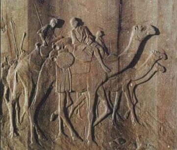 {{brizy_dc_image_alt imageSrc=