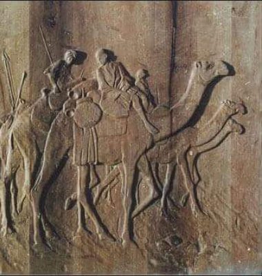 {{brizy_dc_image_alt imageSrc=